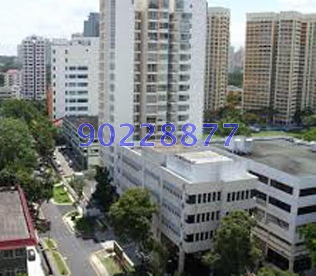 D'Lotus (D12), Apartment #152095692